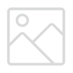 ico2