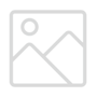 Secure Fax icon