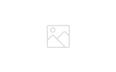 NPANZ Logo