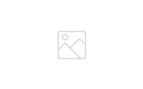 NZMPS Logo (2)