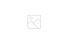 Broadcom-Advantage-Partner-Program-Logo