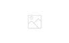 ZI_logo_light